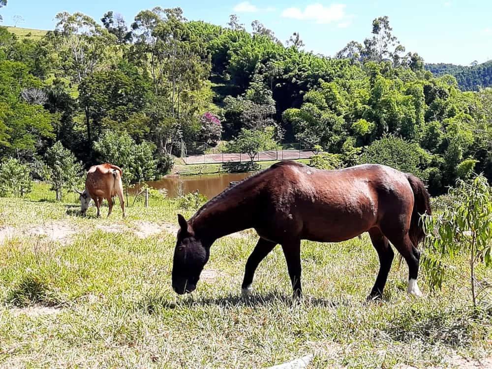 Hotel Fazendao Santa Branca Eksteriør billede